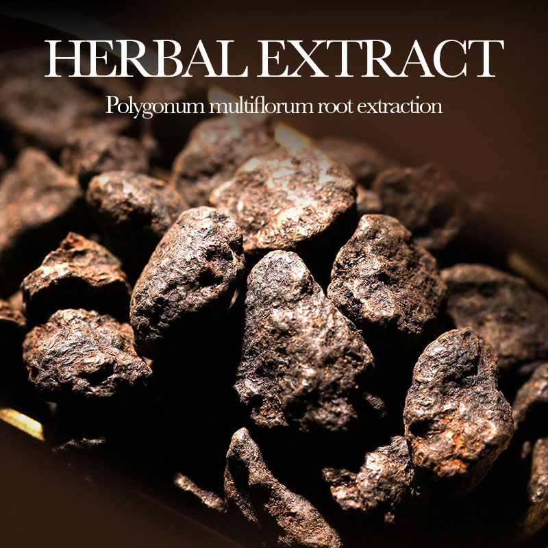 500ml SADOER Ginseng Polygonum - Hair Care Ginseng のレビューと価格