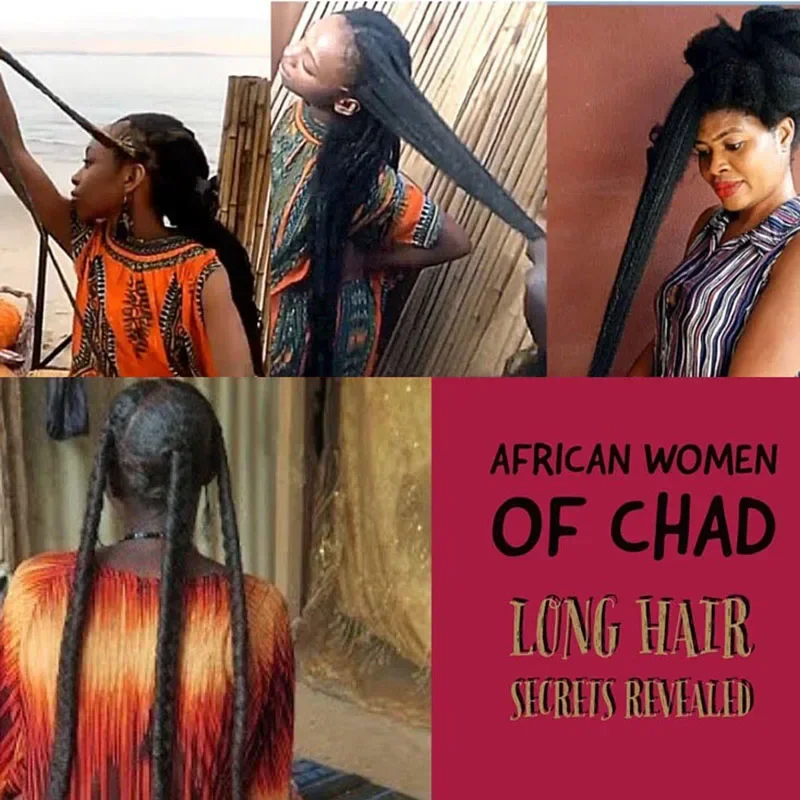 Africa Women Traction Alopecia - Hair Care Ginseng のレビューと価格