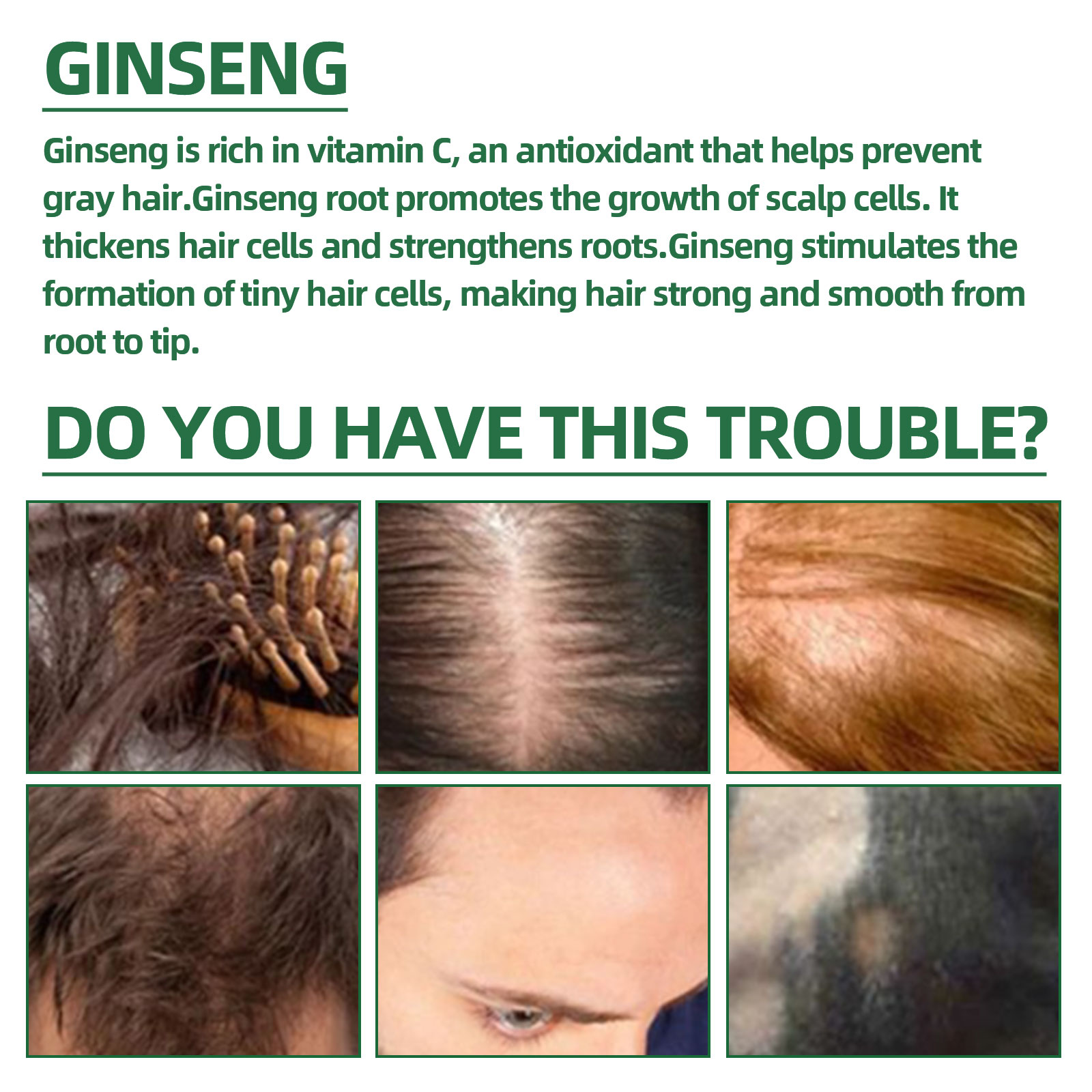 Natural Herbal Ginseng Hair Ca - Hair Care Ginseng のレビューと価格