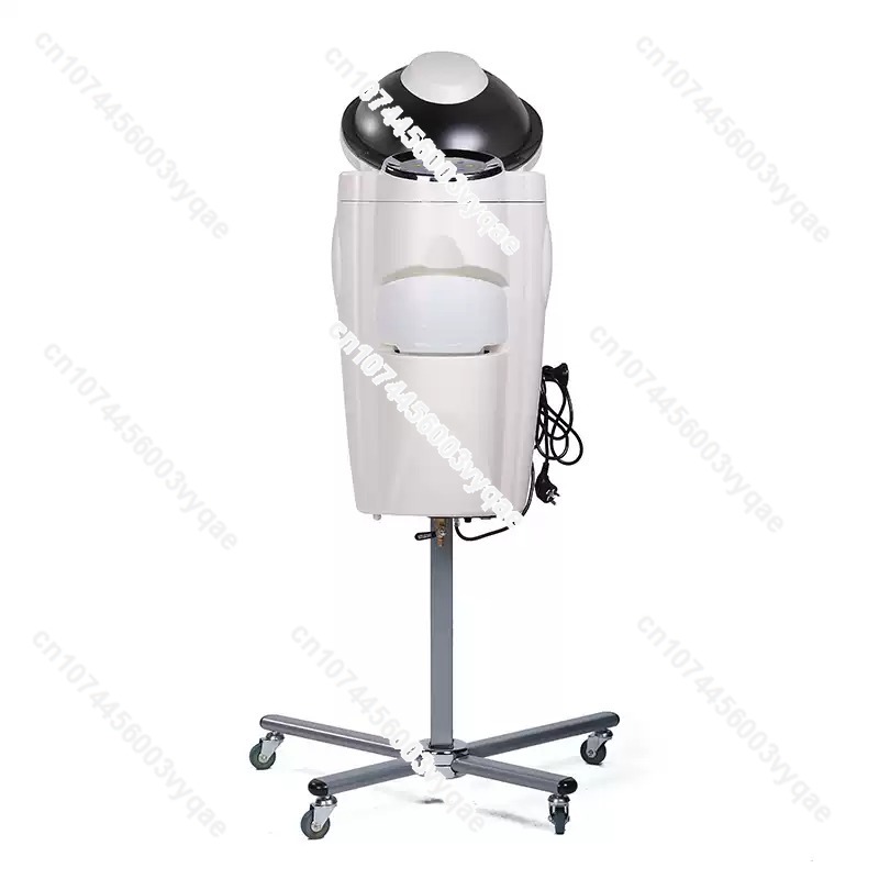 Oil Treatment Ozone Micro Mist - Hair Care Tools のレビューと価格